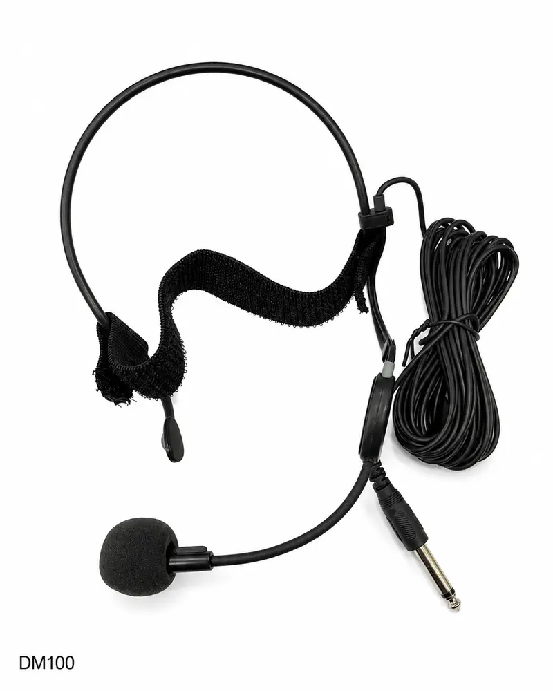 DM100 Dynamic Mic
