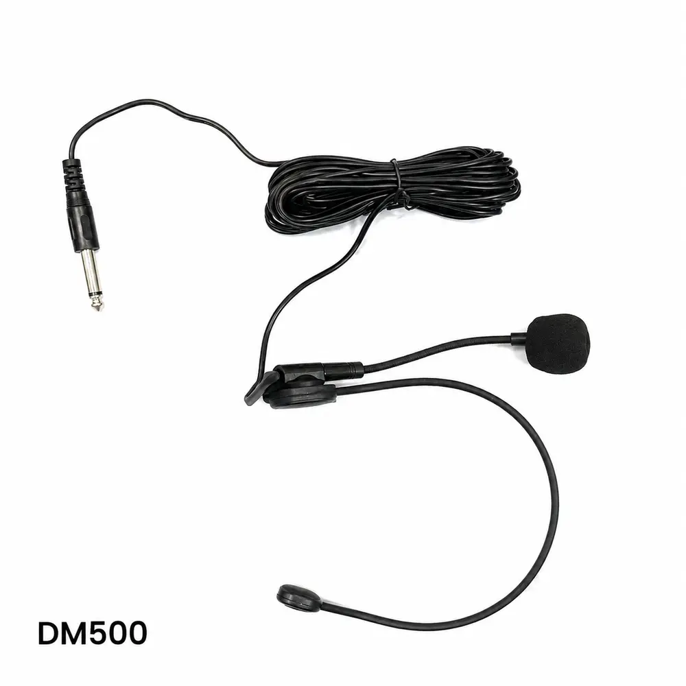 DM500