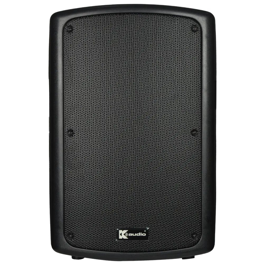 K-Audio Pro FP212 passive PA speaker