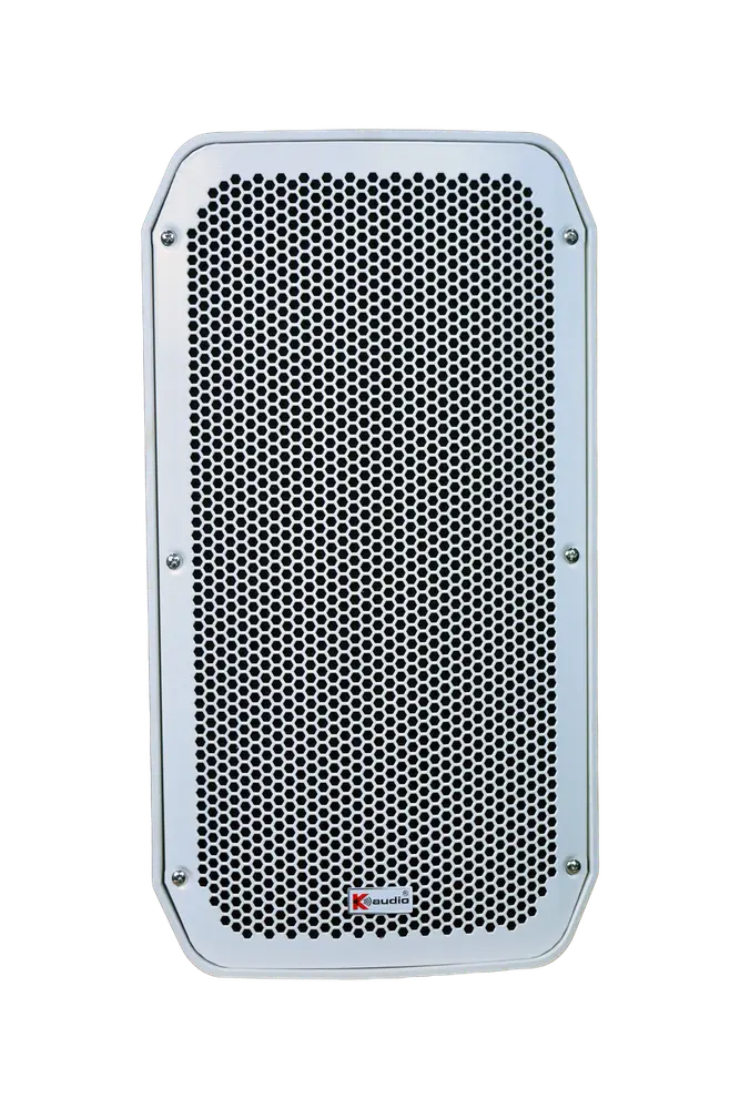 LD 5 Wall Speaker