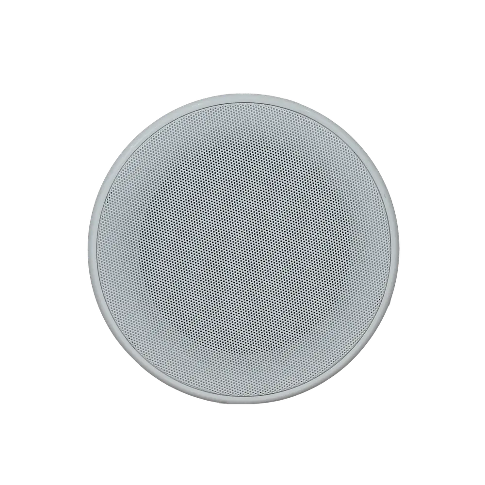 M305 Ceiling Speaker