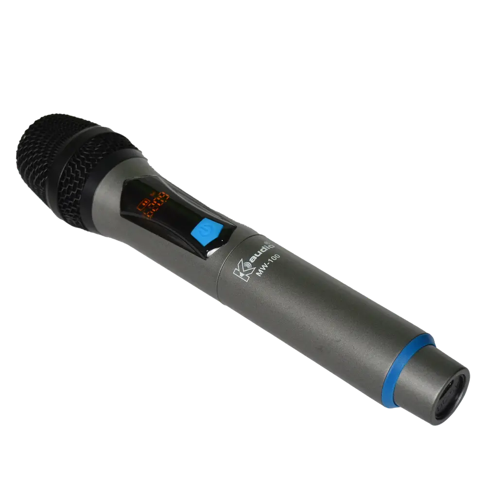 MW100 Wireless Mic