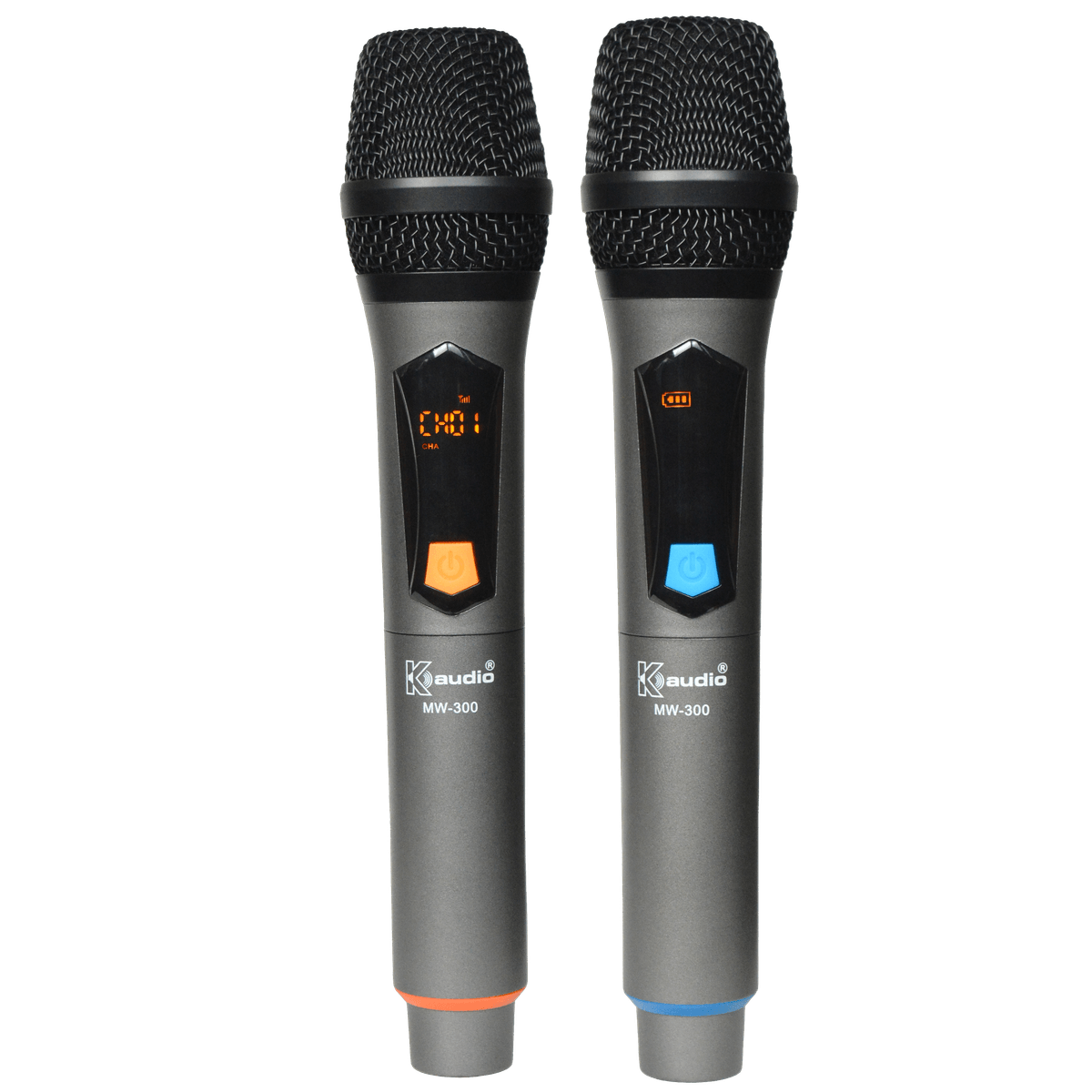 MW300 Wireless Mic