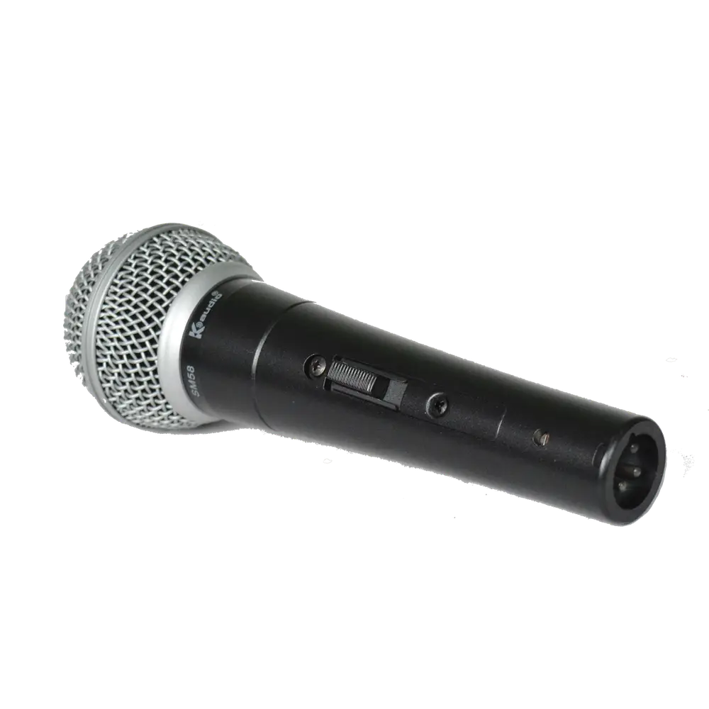 SM58 view 4