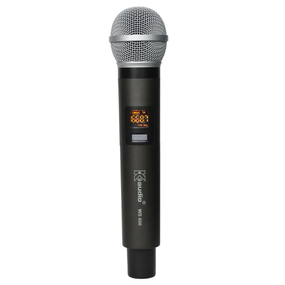WS600 view 4