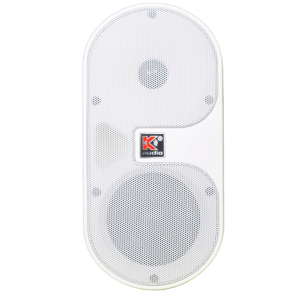 WSP4T Wall Mount Speaker