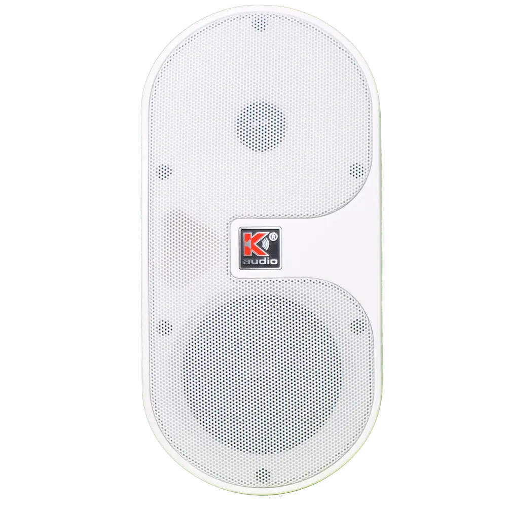 WSP4T Wall Speaker
