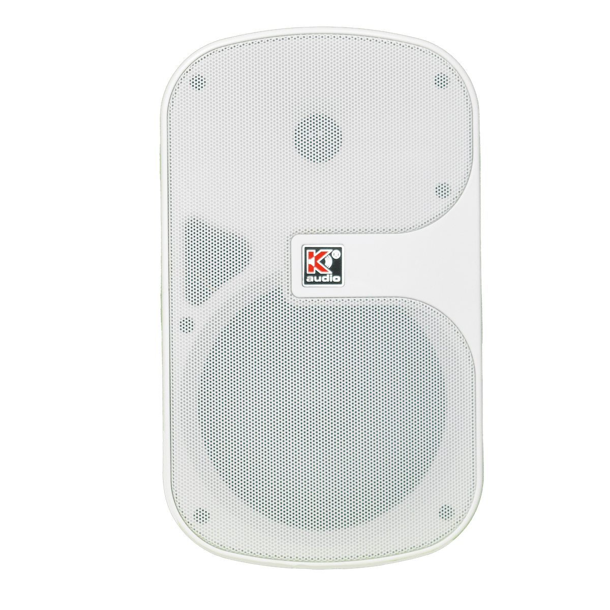 WSP6T Wall Mount Speaker