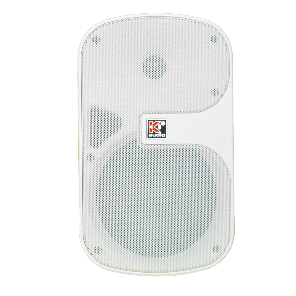 WSP6T Wall Speaker