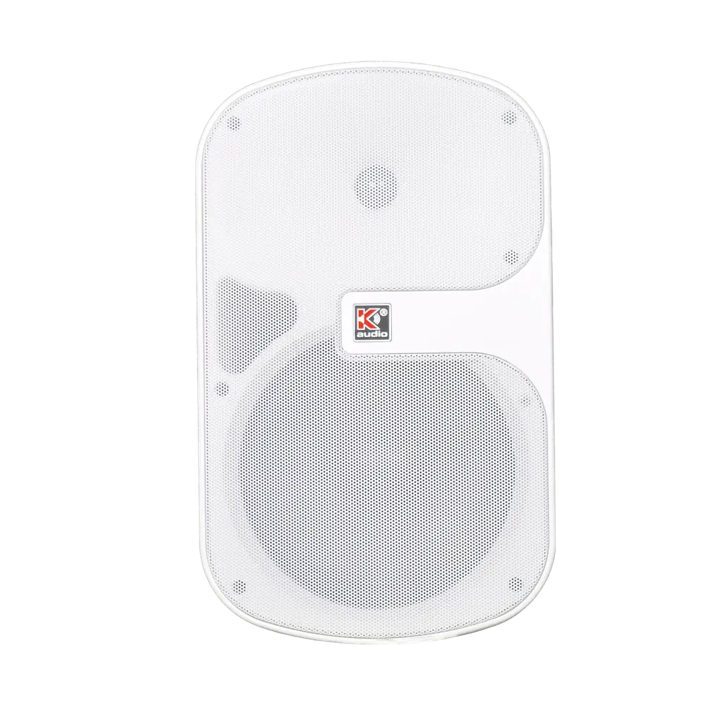 WSP8T Wall Speaker